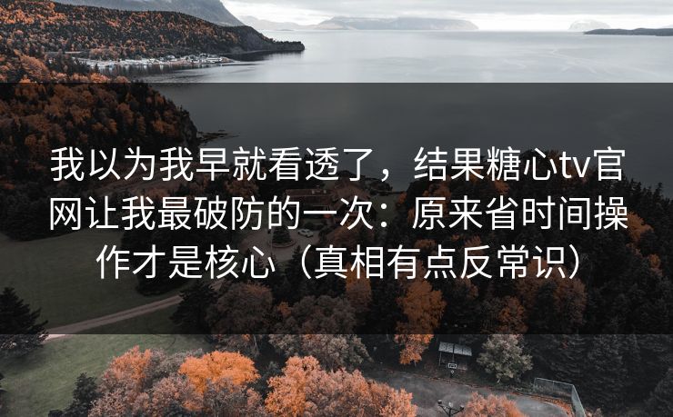 我以为我早就看透了，结果糖心tv官网让我最破防的一次：原来省时间操作才是核心（真相有点反常识）